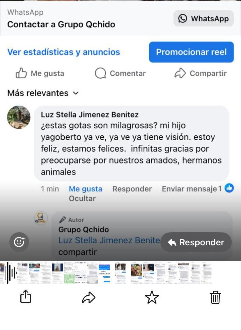 Captura del comentario de Luz Stella Jimenez Benitez sobre Pets Vision